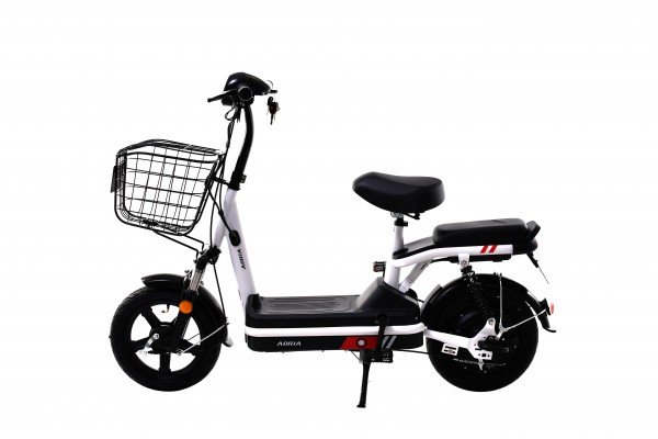 Električni bicikl SKQ-48 crno-beli (10.5)